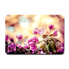 Paradise Apple Blossoms Small Doormat  by FunnyCow