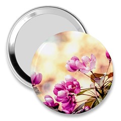 Paradise Apple Blossoms 3  Handbag Mirrors by FunnyCow