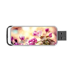 Paradise Apple Blossoms Portable Usb Flash (two Sides) by FunnyCow