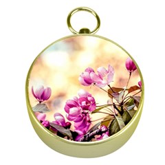 Paradise Apple Blossoms Gold Compasses by FunnyCow