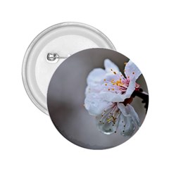 Rainy Day Of Hanami Season 2 25  Buttons by FunnyCow