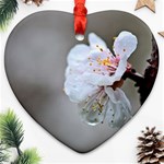 Rainy Day Of Hanami Season Ornament (Heart) Front