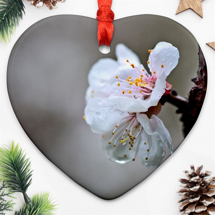 Rainy Day Of Hanami Season Ornament (Heart)