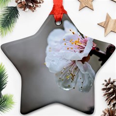 Rainy Day Of Hanami Season Ornament (star) by FunnyCow