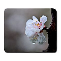 Rainy Day Of Hanami Season Large Mousepads by FunnyCow