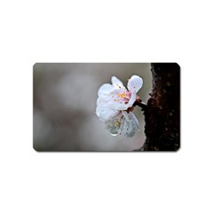 Rainy Day Of Hanami Season Magnet (name Card) by FunnyCow