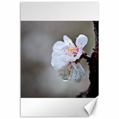 Rainy Day Of Hanami Season Canvas 12  X 18  by FunnyCow