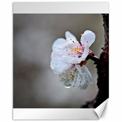 Rainy Day Of Hanami Season Canvas 16  X 20  by FunnyCow