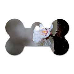 Rainy Day Of Hanami Season Dog Tag Bone (two Sides) by FunnyCow