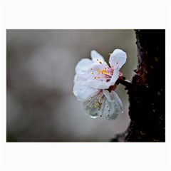 Rainy Day Of Hanami Season Large Glasses Cloth by FunnyCow