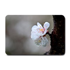 Rainy Day Of Hanami Season Small Doormat  by FunnyCow