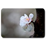 Rainy Day Of Hanami Season Large Doormat  30 x20  Door Mat