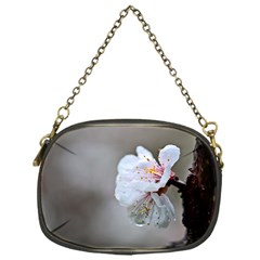 Rainy Day Of Hanami Season Chain Purse (one Side) by FunnyCow