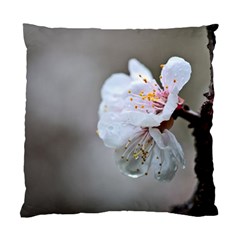 Rainy Day Of Hanami Season Standard Cushion Case (two Sides) by FunnyCow