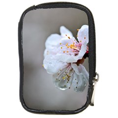 Rainy Day Of Hanami Season Compact Camera Leather Case by FunnyCow