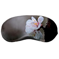 Rainy Day Of Hanami Season Sleeping Masks by FunnyCow