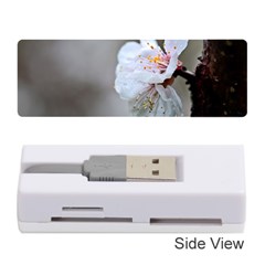 Rainy Day Of Hanami Season Memory Card Reader (stick) by FunnyCow