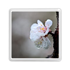 Rainy Day Of Hanami Season Memory Card Reader (square) by FunnyCow