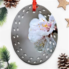 Rainy Day Of Hanami Season Ornament (oval Filigree)