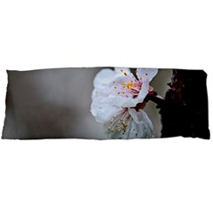 Rainy Day Of Hanami Season Body Pillow Case (dakimakura) by FunnyCow