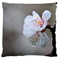 Rainy Day Of Hanami Season Large Cushion Case (one Side) by FunnyCow