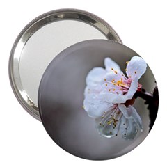 Rainy Day Of Hanami Season 3  Handbag Mirrors by FunnyCow