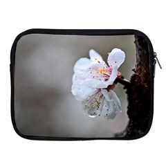 Rainy Day Of Hanami Season Apple Ipad 2/3/4 Zipper Cases by FunnyCow