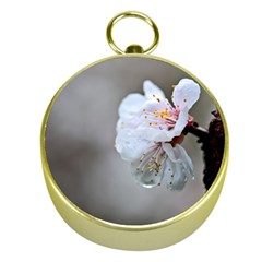 Rainy Day Of Hanami Season Gold Compasses by FunnyCow