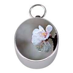 Rainy Day Of Hanami Season Mini Silver Compasses by FunnyCow