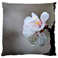 Rainy Day Of Hanami Season Large Flano Cushion Case (one Side) by FunnyCow