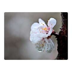 Rainy Day Of Hanami Season Double Sided Flano Blanket (mini)  by FunnyCow