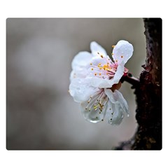 Rainy Day Of Hanami Season Double Sided Flano Blanket (small)  by FunnyCow