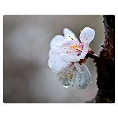 Rainy Day Of Hanami Season Double Sided Flano Blanket (medium)  by FunnyCow