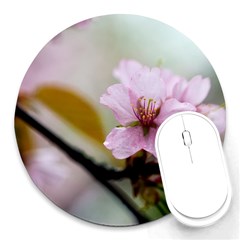 Soft Rains Of Spring Round Mousepads by FunnyCow