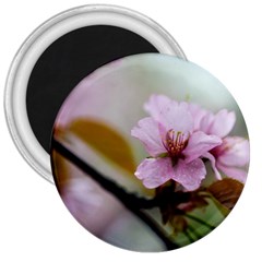 Soft Rains Of Spring 3  Magnets by FunnyCow