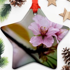 Soft Rains Of Spring Ornament (star) by FunnyCow