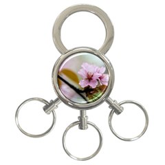 Soft Rains Of Spring 3-ring Key Chains by FunnyCow