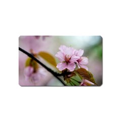 Soft Rains Of Spring Magnet (name Card) by FunnyCow