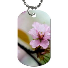 Soft Rains Of Spring Dog Tag (one Side) by FunnyCow