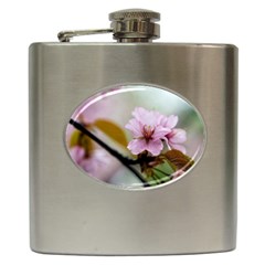 Soft Rains Of Spring Hip Flask (6 Oz) by FunnyCow