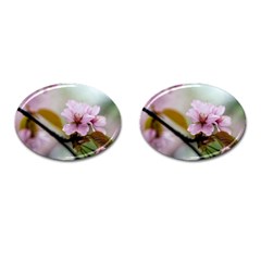 Soft Rains Of Spring Cufflinks (oval) by FunnyCow