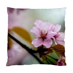 Soft Rains Of Spring Standard Cushion Case (one Side) by FunnyCow