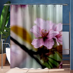 Soft Rains Of Spring Shower Curtain 60  X 72  (medium)  by FunnyCow