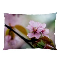 Soft Rains Of Spring Pillow Case (two Sides) by FunnyCow