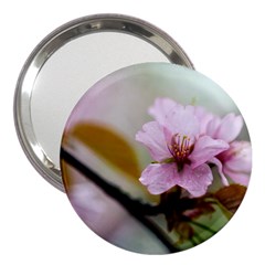 Soft Rains Of Spring 3  Handbag Mirrors by FunnyCow