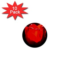 Red Tulip A Bowl Of Fire 1  Mini Buttons (10 Pack)  by FunnyCow