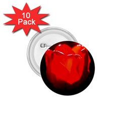 Red Tulip A Bowl Of Fire 1 75  Buttons (10 Pack)