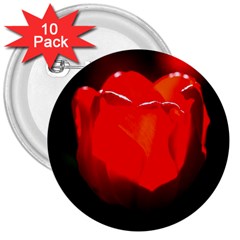 Red Tulip A Bowl Of Fire 3  Buttons (10 Pack)  by FunnyCow