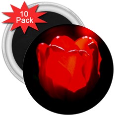 Red Tulip A Bowl Of Fire 3  Magnets (10 Pack)  by FunnyCow