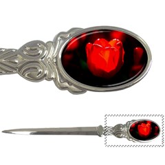 Red Tulip A Bowl Of Fire Letter Opener by FunnyCow